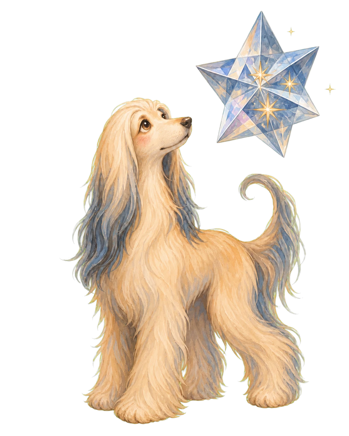 The Visionary, a Afghan Hound with The Prism of Elsewhere